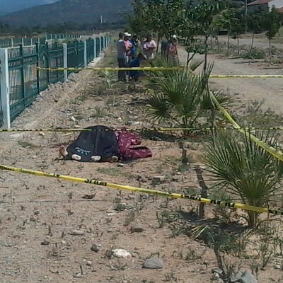 Köşk'te vahşi cinayet: Kafası taşla ezilmiş!