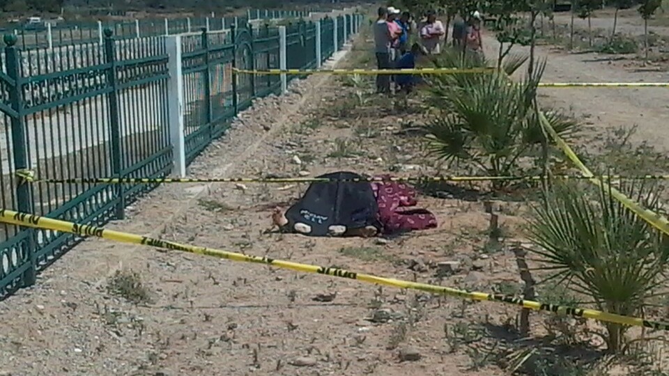 Köşk'te vahşi cinayet: Kafası taşla ezilmiş!