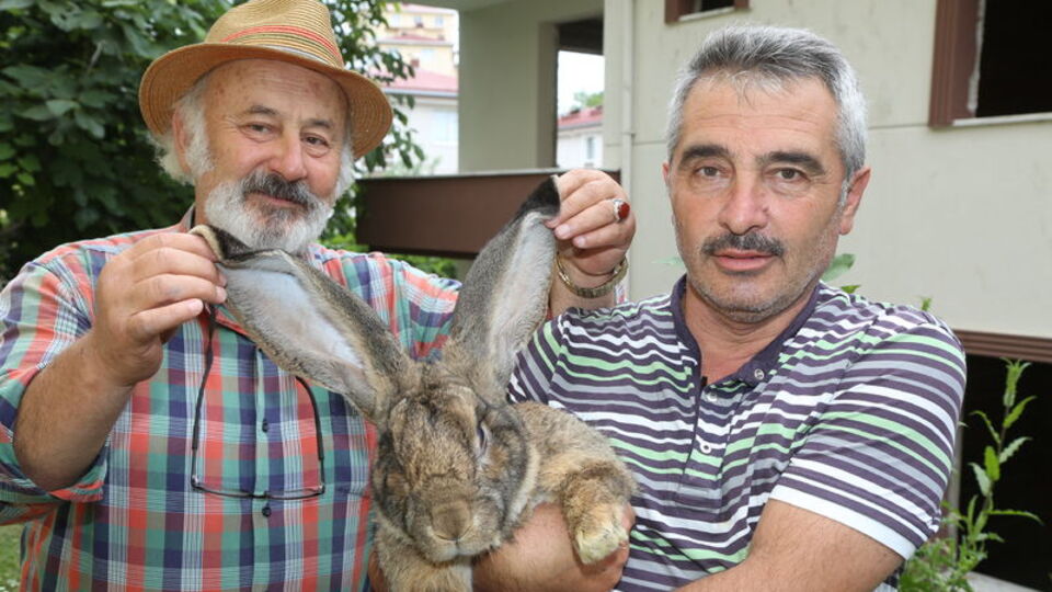 Gitgide büyüyor! İlgi odağı oldu