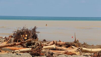 Acı haber geldi! 3'ü çocuk 4 kişi aranıyor