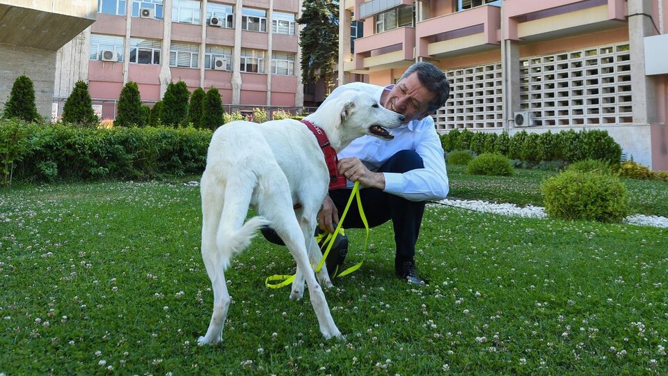 Bakan Selçuk duyurmuştu... İlk yanıt Beşiktaş Belediye Başkanı'ndan geldi: Talibiz