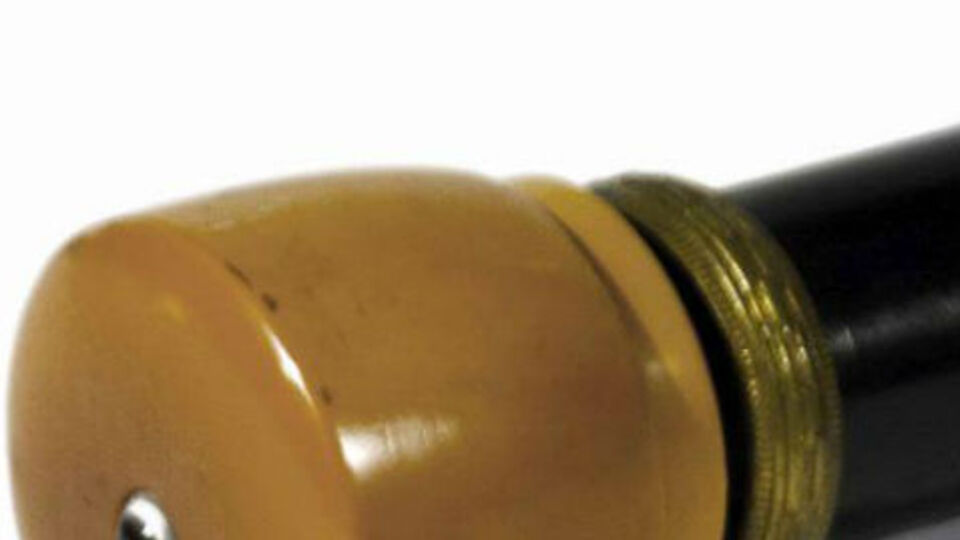 Titanikten sağ kurtulan kadının bastonu 62 bin dolara satıldı