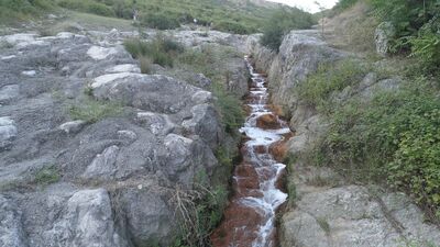 Panik yaratan görüntü! Bir anda renk değiştirdi