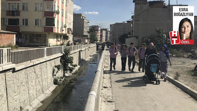 'Batı Nil Virüsü' Avcılar'a nasıl geldi? Avcılar Belediye Başkanı Turan Hançerli anlattı...