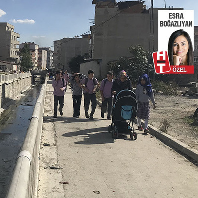 'Batı Nil Virüsü' Avcılar'a nasıl geldi? Avcılar Belediye Başkanı Turan Hançerli anlattı...