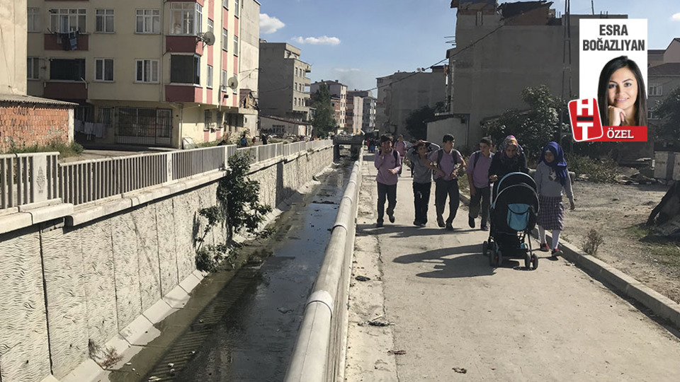 'Batı Nil Virüsü' Avcılar'a nasıl geldi? Avcılar Belediye Başkanı Turan Hançerli anlattı...