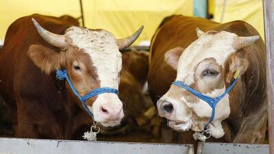 Kurban Bayramı tarihi 2019!