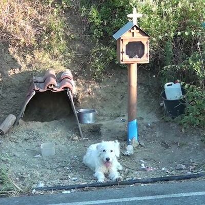 Hüzne boğan hikaye! Nasıl bulduğu bilinmiyor