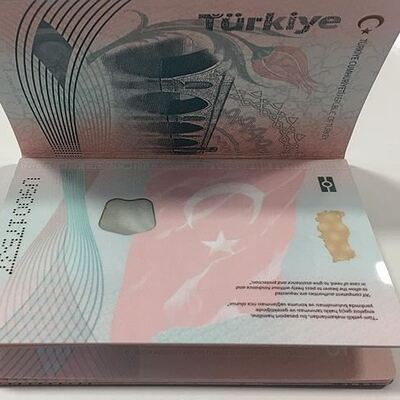 Azerbaycan'a vize 1 Eylül'de kalkıyor!