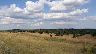 Edirneli köylülerden 'kömür ocağı' tepkisi