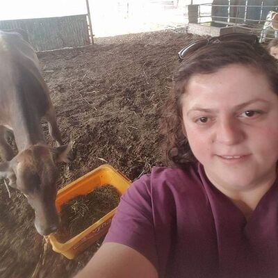 İneğe doğum yaptırdı kendisi öldü!