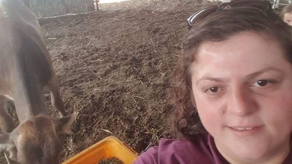 İneğe doğum yaptırdı kendisi öldü!