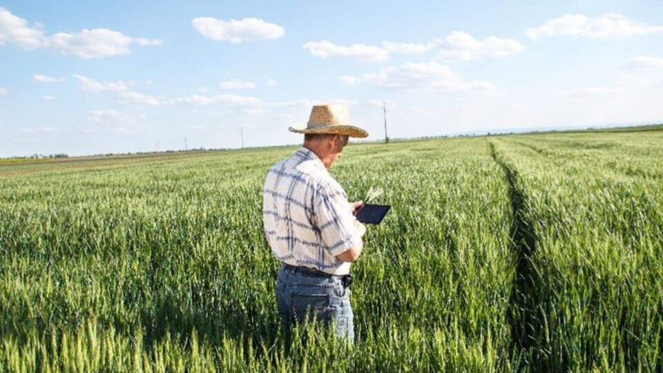 Tarım sigortası ne kadar 2019