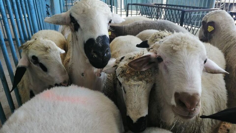 O ilçede korkutan 'karantina'