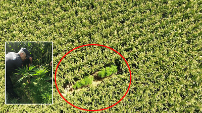 "Keneviri gördüm! Sobeee!"