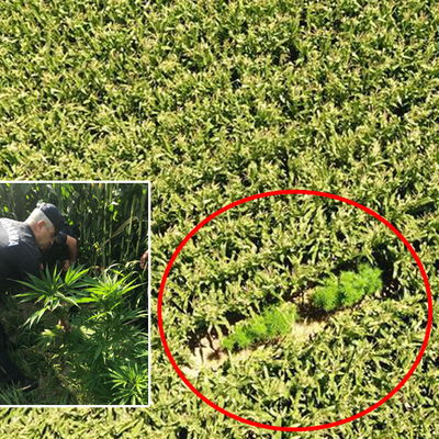 "Keneviri gördüm! Sobeee!"