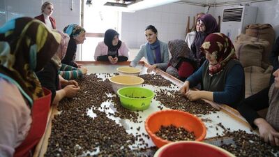 "Fındık fiyatları üreticiyi memnun etti"
