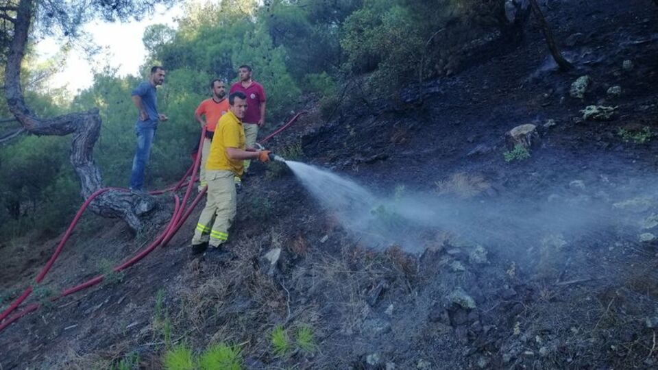 Çorum'da orman yangını