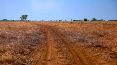 Metal dedektörüyle servet buldu