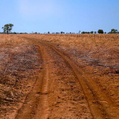 Metal dedektörüyle servet buldu