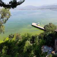 Turizmi bitirecek 'alg'ı