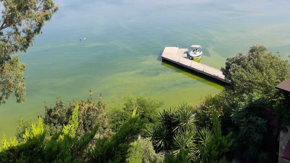 Turizmi bitirecek 'alg'ı