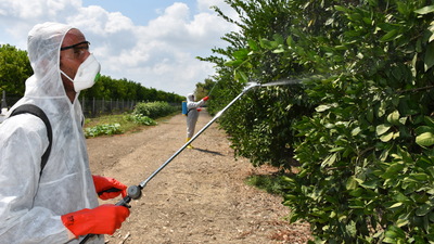Topyekun mücadele başladı! Önlem alınmazsa...