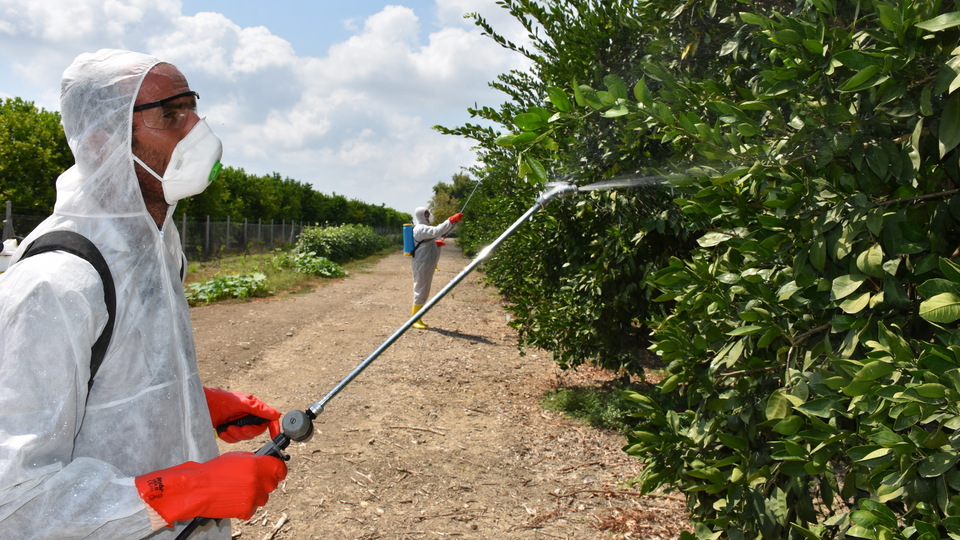 Topyekun mücadele başladı! Önlem alınmazsa...