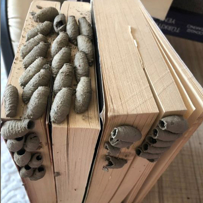 Sosyal medyayı salladı! Sizin de başınıza gelebilir!