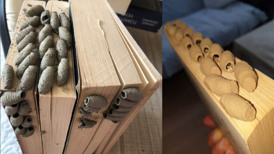 Sosyal medyayı salladı! Sizin de başınıza gelebilir!