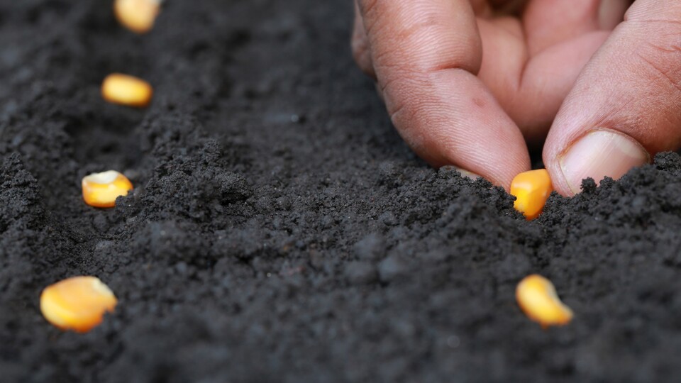 "Bayramdan önce destek ödemesi büyük katkı sağlar"
