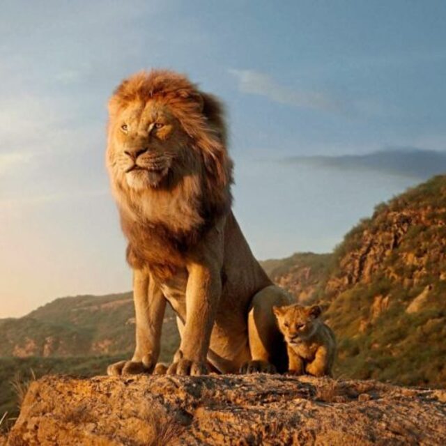 Aslan gibi rekor