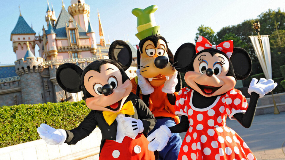 CEO milyonlar kazanıyor, çalışanları çöpten besleniyor