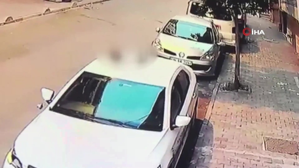 Kuzeni, Yunus bebeği çatıdan aşağı attı