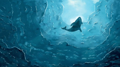 Mavi Balina ölümlerinin önüne nasıl geçilecek?