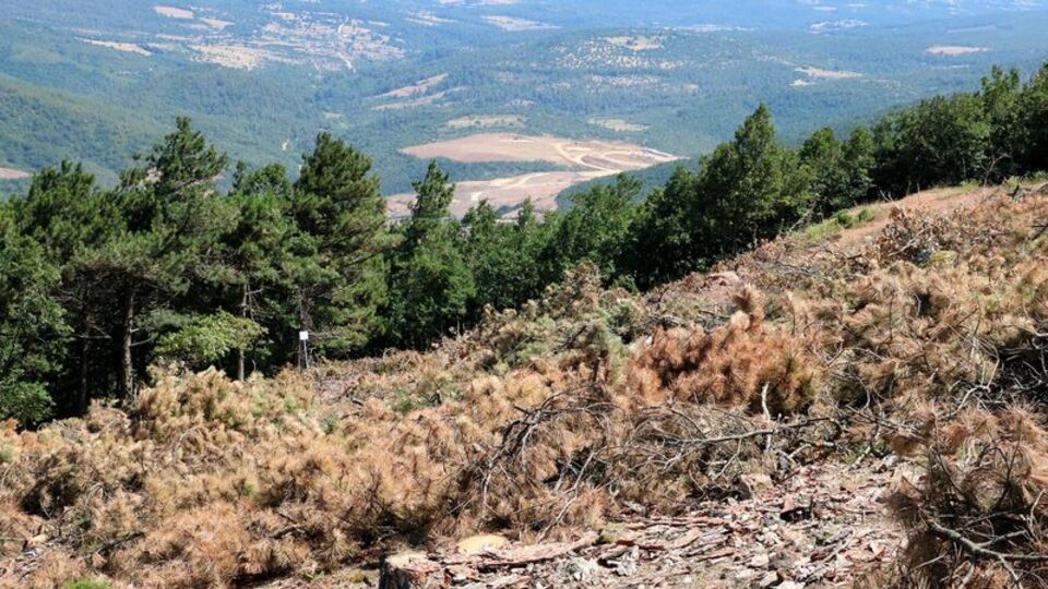 Kaz Dağları'nda altın aranmasına ilişkin açıklama