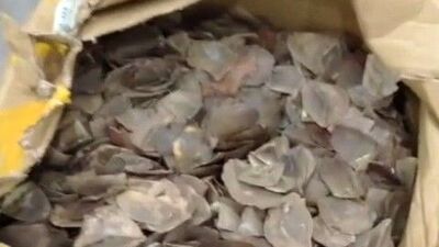 Türkiye'de 8,5 milyon TL, Asya'da 3 milyon dolar!