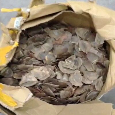 Türkiye'de 8,5 milyon TL, Asya'da 3 milyon dolar!