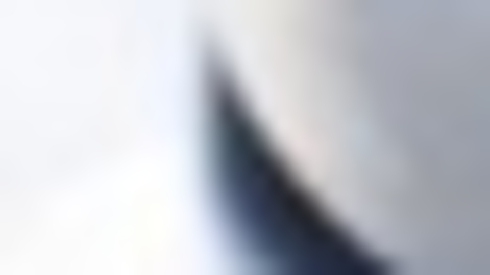 Pilot, yakıt parası bitince yolculardan para istedi