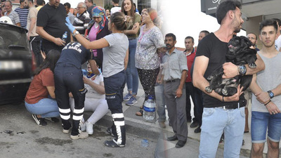 Sahibi kazada yaralanan köpek, zor sakinleştirildi