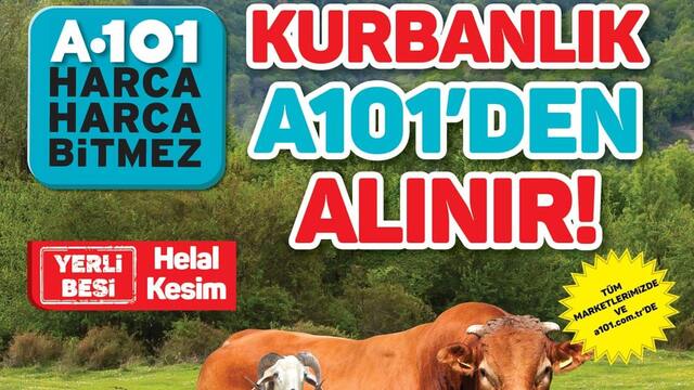 A101 01 Ağustos 2019 Aktüel ürünleri