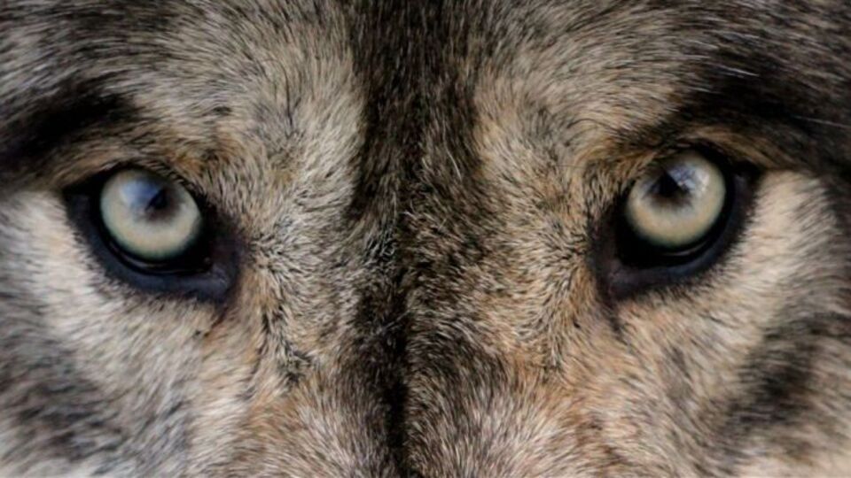 6 saniyede bir yokluyor... Size de vurabilir!