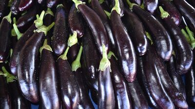 O hastalıklara çare olacak!