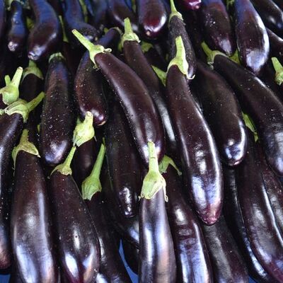 O hastalıklara çare olacak!