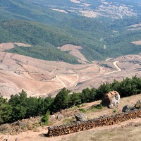 Kaz Dağları'nda altın madeni polemiği