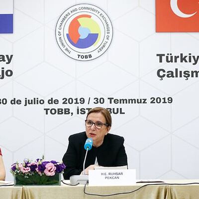 "Paraguay ile iş dünyasının önündeki engelleri kaldırmaya hazırız"