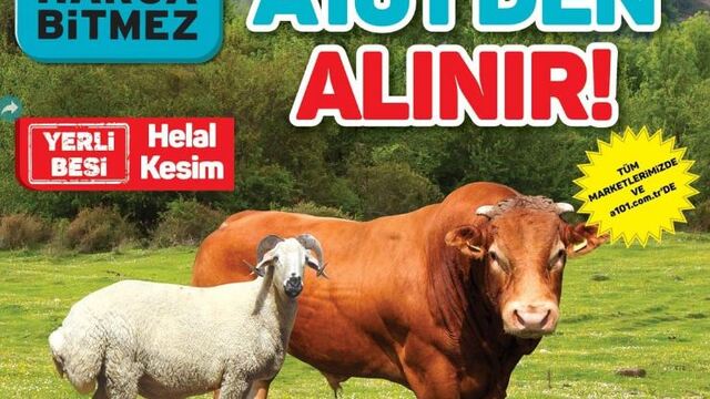 a101 1 Ağustos 2019 Aktüel ürünleri bugün satışta!