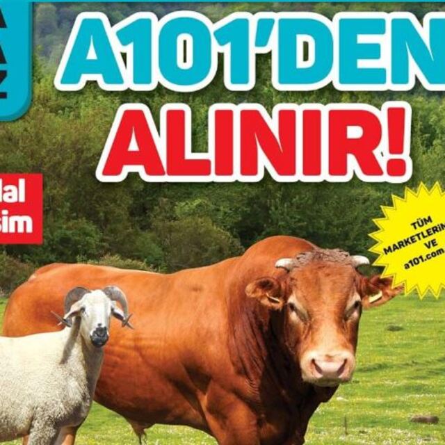 a101 1 Ağustos 2019 Aktüel ürünleri bugün satışta!
