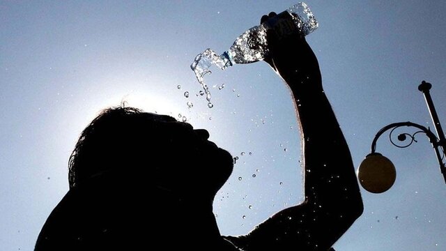 Sıcak en çok onların düşmanı!