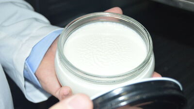 Yoğurt nasıl mayalanıyor?